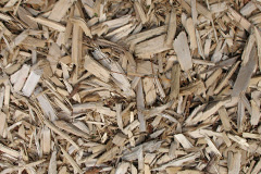 biomass boilers Annat